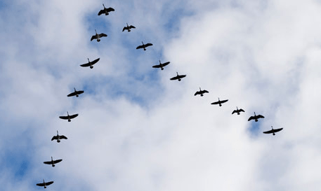 Screen Shot 2017-06-14 at 08.15.28